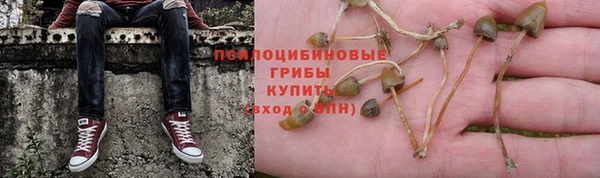 кокс Абдулино